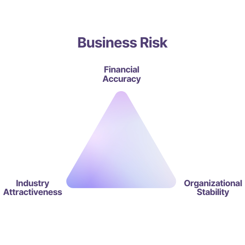 Business Risk