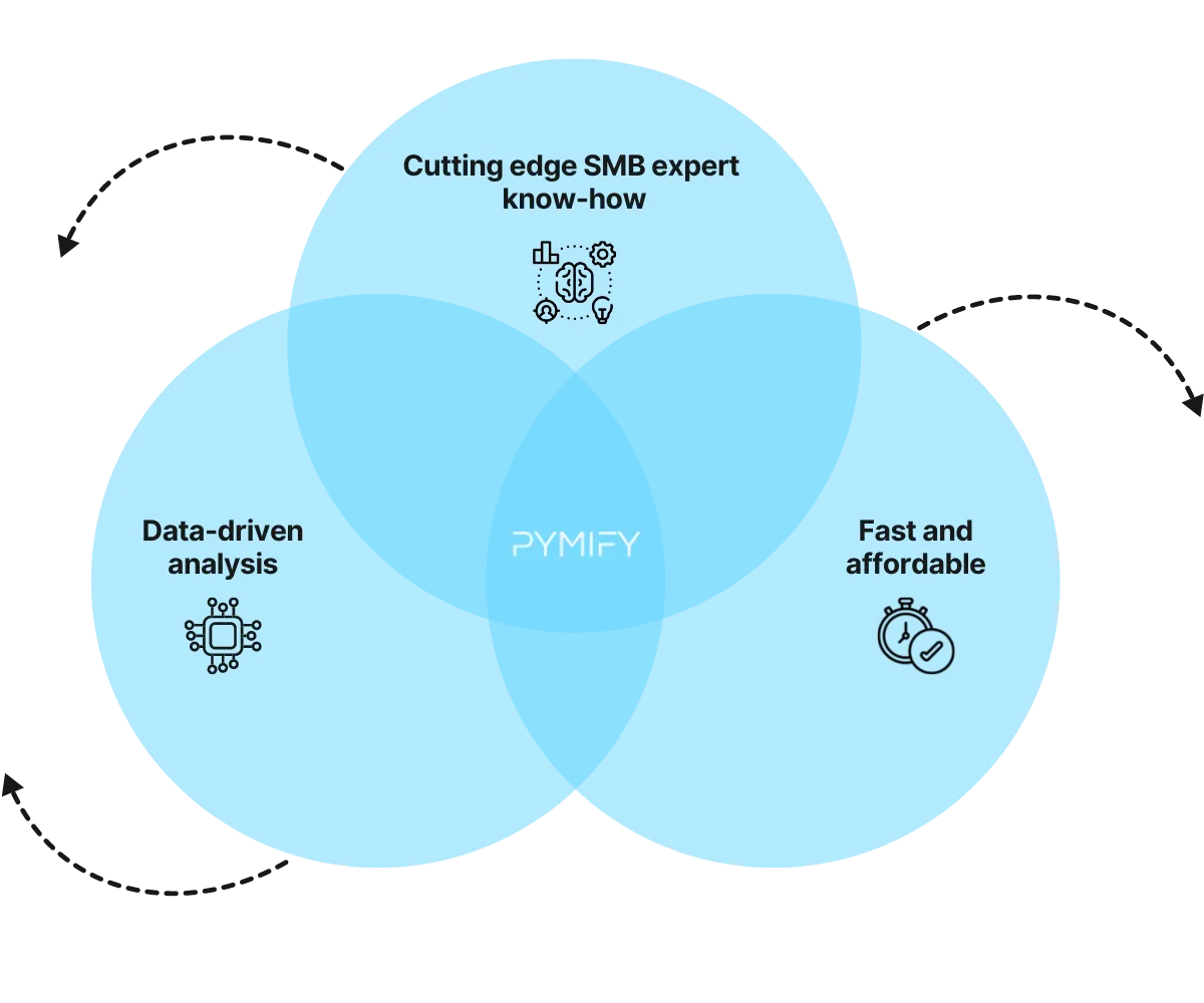 Infographic showing the mix of SMB expert know-how, AI analysis and affordability of the assessment
