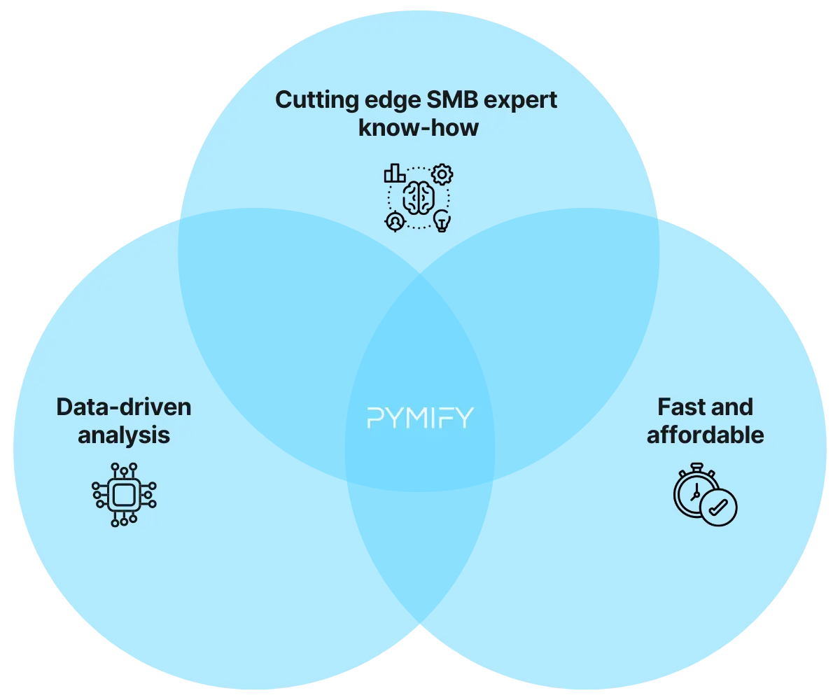 Infographic showing the mix of SMB expert knowhow, AI analysis and affordability of the assessment